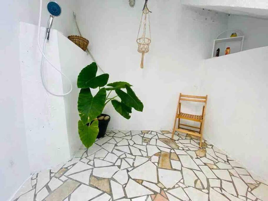 Ferienwohnung Habitation Nala Proche Bourg Terre-De-Haut Exterior foto